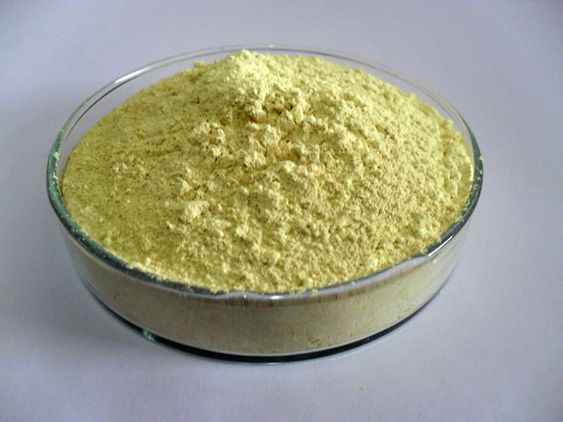 Scutellaria baicalensis Extract