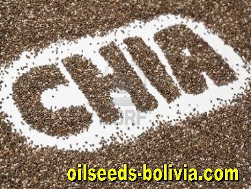 chia seeds