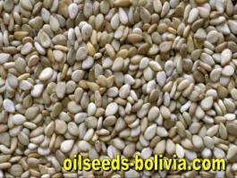 sesame seeds