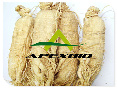 Ginseng Extract
