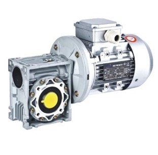Worm Gear Motor(0.06kw-7.5kw)