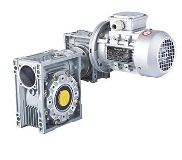AC Double Worm Gear Motor