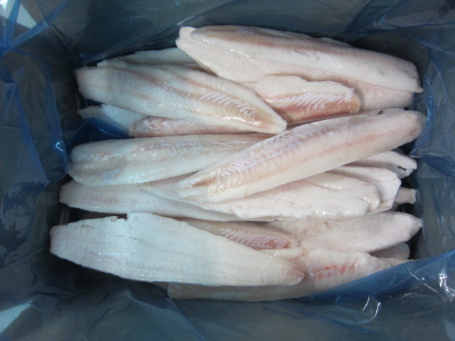 Frozen cod,saithe,alaska pollock,salmon fillets