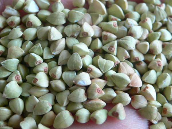 Hulled Buckwheat Kernels (Buckwheat groats)