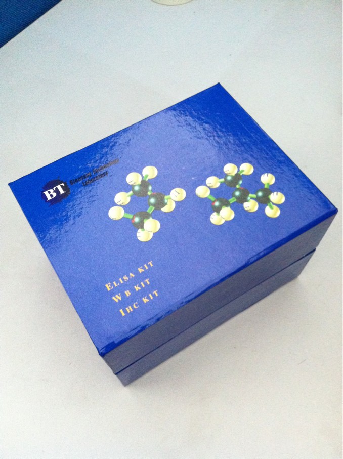 Human Secretin(SCT) ELISA Kit
