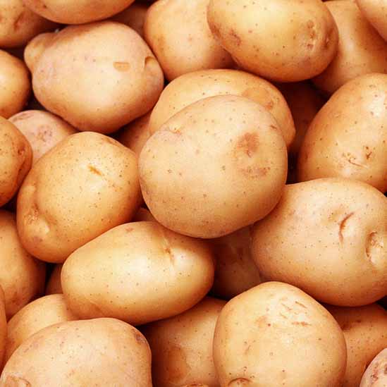 Potato