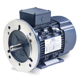 Leeson DC TEFC High Efficiency Motors