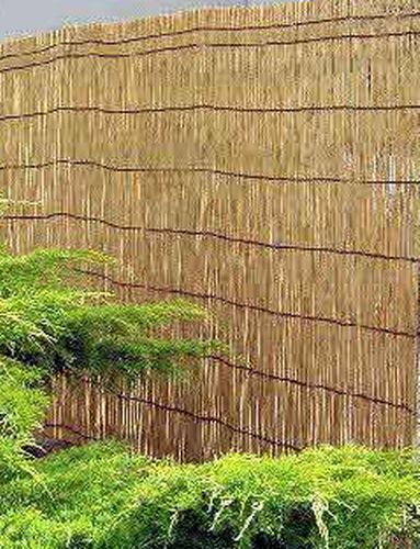 bamboo fence red screen