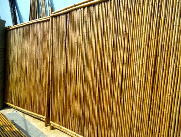 bamboo fencing lagre