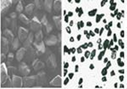 CBN micron