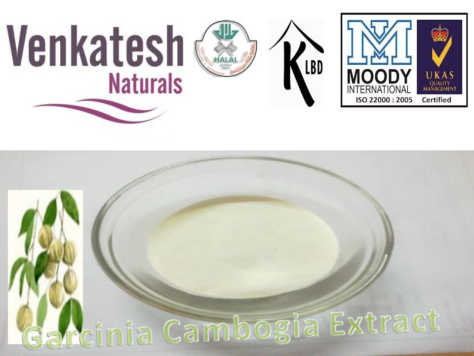 garcinia cambogia extract 50%, garcinia cambogia extract 60%, garcinia cambogia 50%, Garcinia cambog