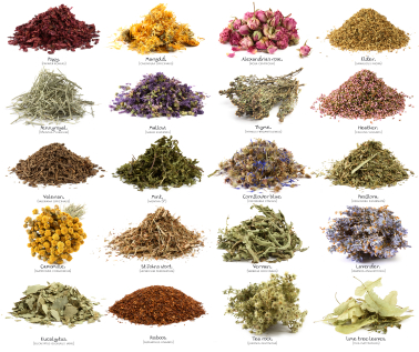 All Kind Of Ayurvedic Herb and Medicinal Herb