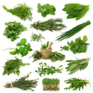 All Kind Of Ayurvedic Herb and Herbal Powder