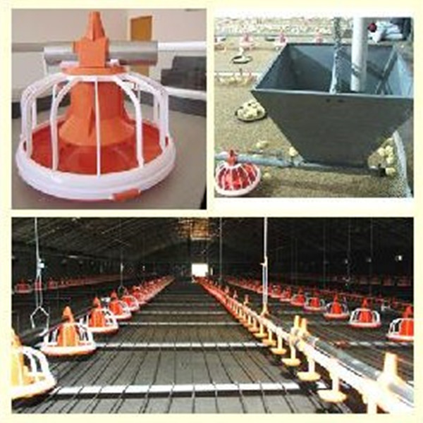 modern complete controlled poultry farm equipment for broiler