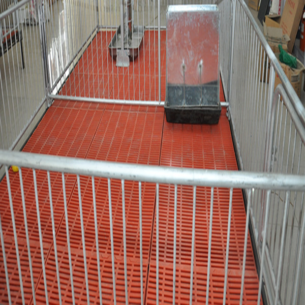 WANFA salt floor for pigs easy to clean