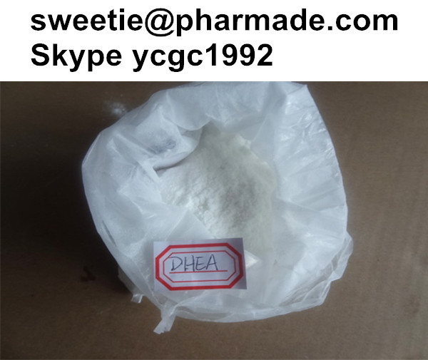 Dehydroisoandrosterone DHEA Legal Anabolic Steroids