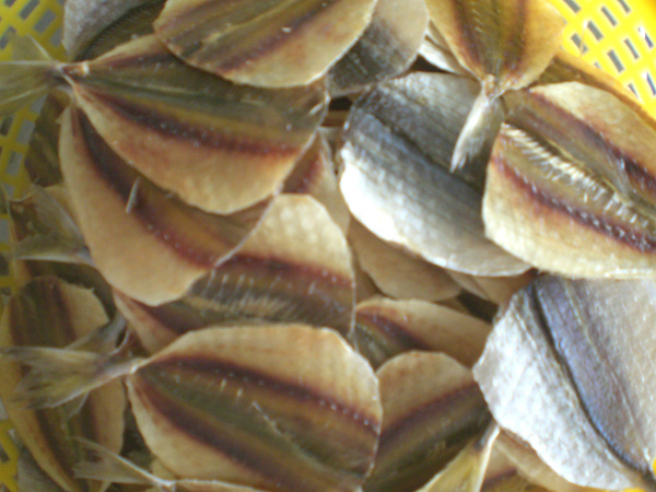 Dried Fish