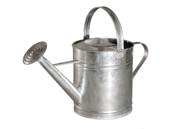 galvanized steel watering cans 2 Gallon,metal watering can 9 Litres
