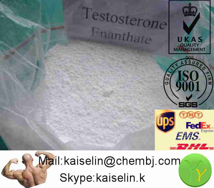 Testosterone Enanthate for Bodybuilding