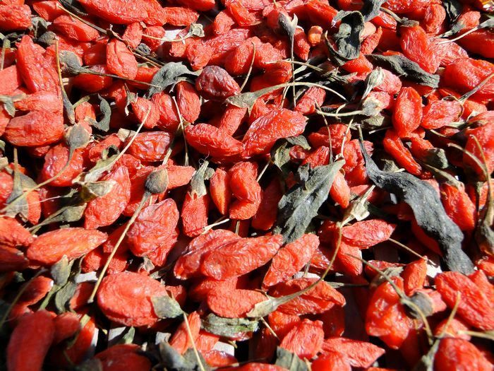 wolfberry goji berries,ningxia goji