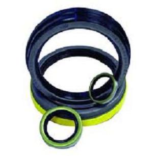 viton oil seal