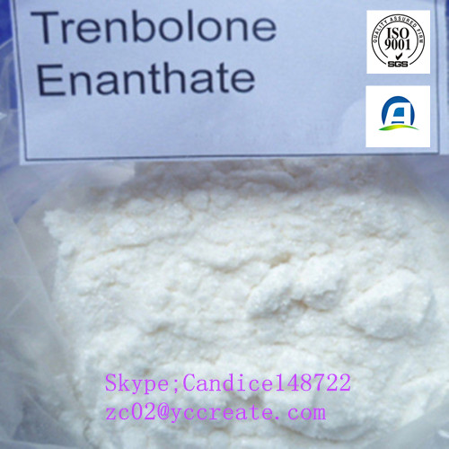 Trenbolone Enanthate to Increase Muscle and Appetite