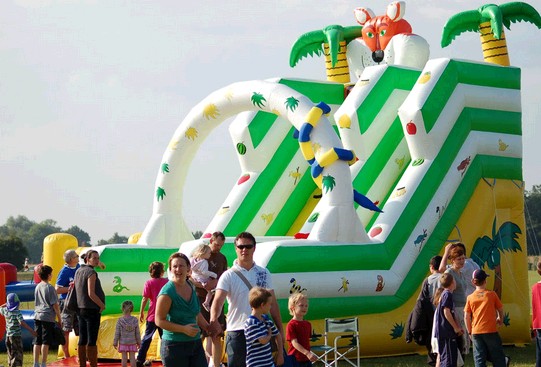PVC Material Inflatable Slide(IS-019)