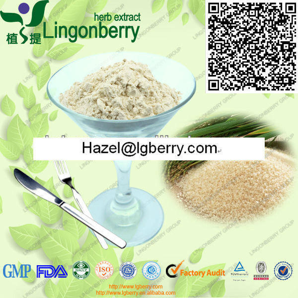 Natural Rice Protein powder