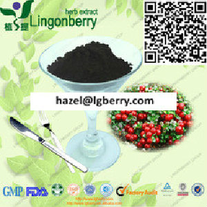 Wild Lingonberry Proanthocyanidins /OPC/lingonberry extract