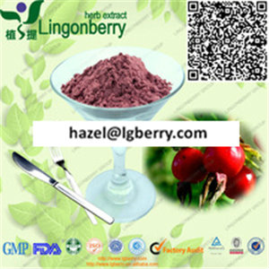 Wild Rose Hip Extract