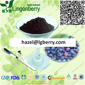 Blueberry Extract