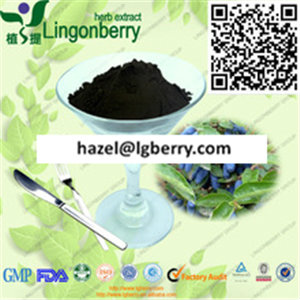 Lonicera Caerulea Extract