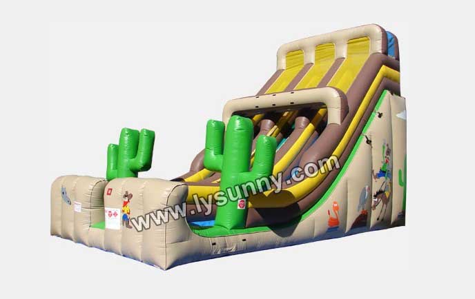 CE proved Inflatable Desert style Slide(IS-067)