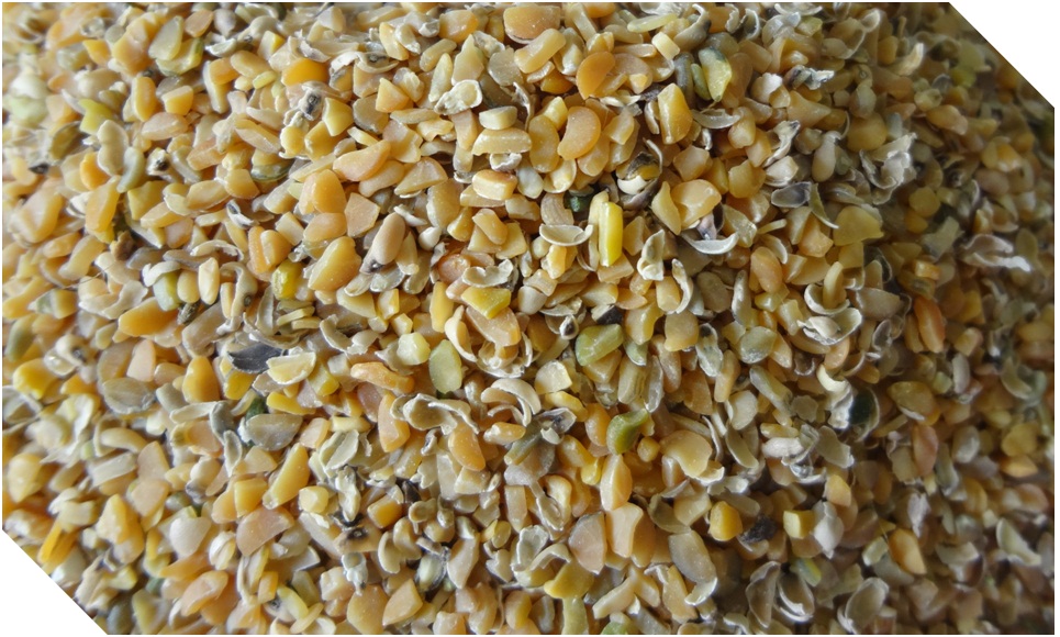 Guar Meal