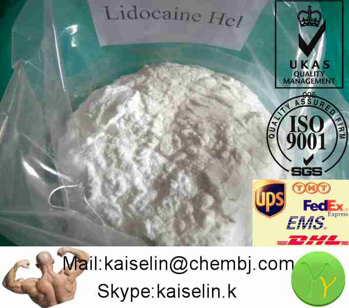 Lidocaine Hydrochloride / Lidocaine Hcl