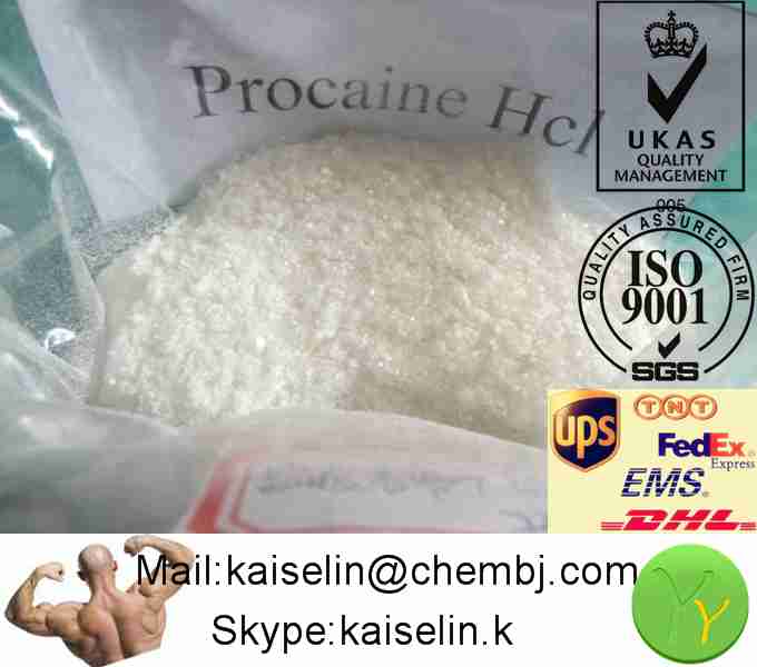 Procaine Hydrochloride / Procaine Hcl