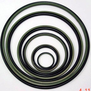 Step seal
