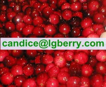 Brand names lingonberry juice