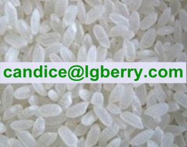 Natural Rice Protein powder