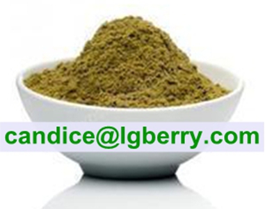 Crude Hemp Protein Powder 50%