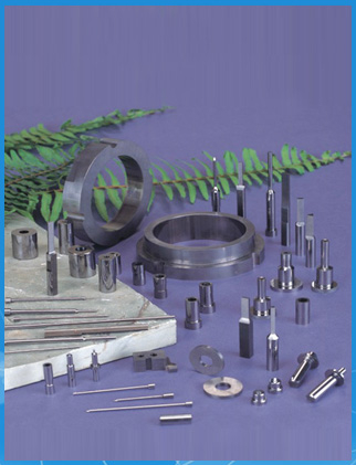 medical punch,precision medical punch,tungsten carbide medical punch