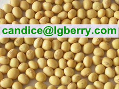 100% Natural Textured Soya Protein (NON-GMO soybean)
