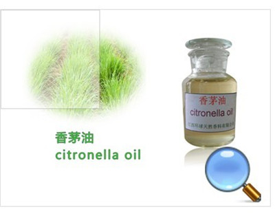 Citronella Oil