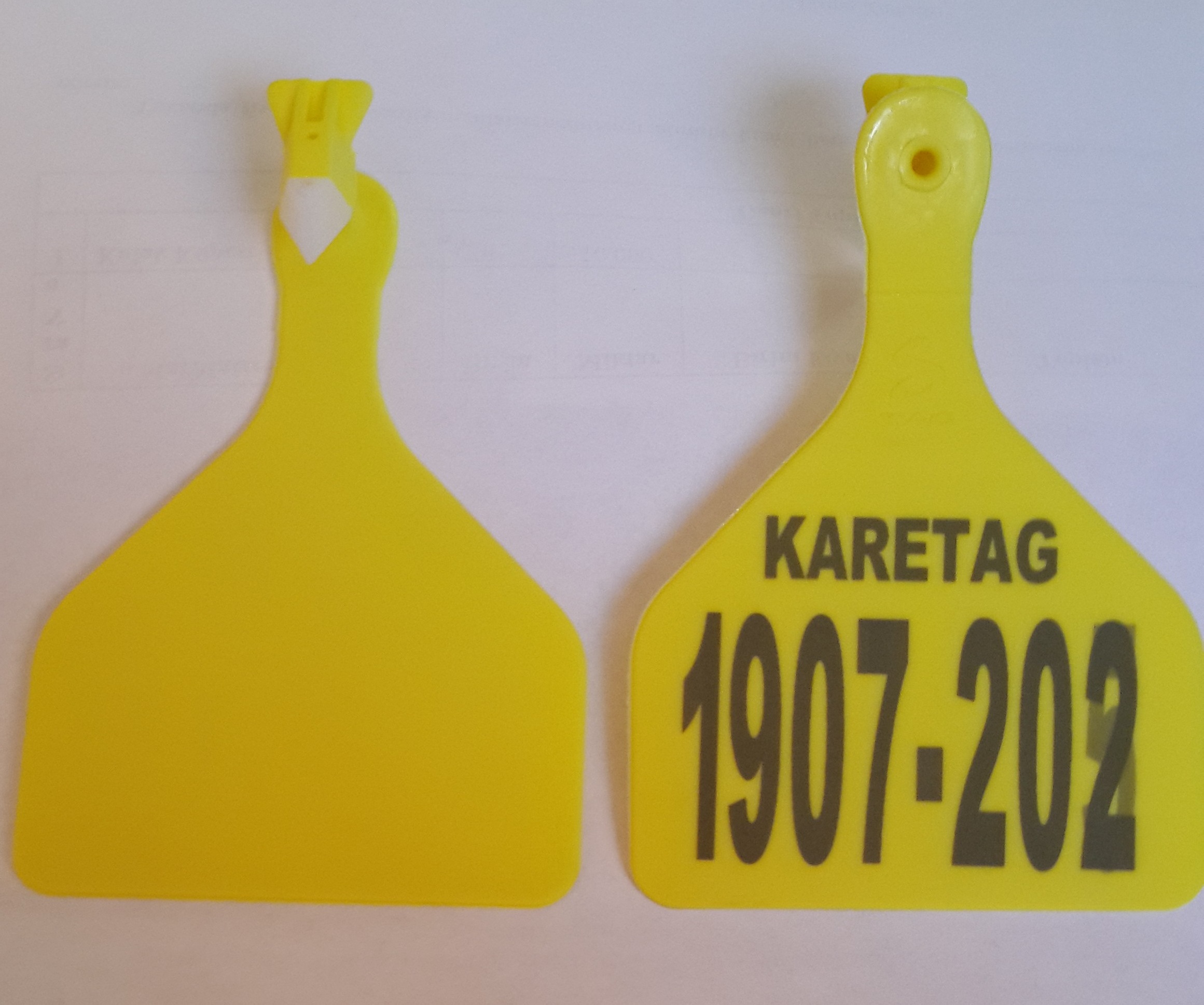 Ostrich ear tag and applicator