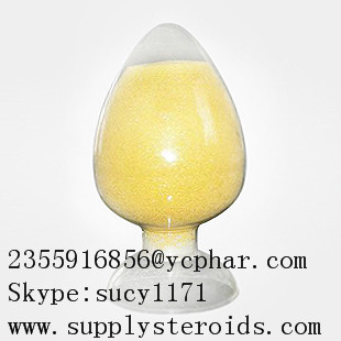scallop excract