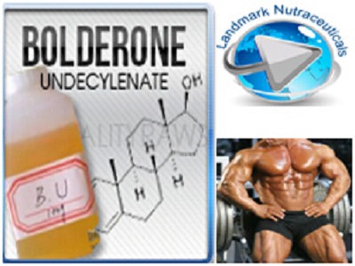 Boldenone Undecylenate(Equipoise)