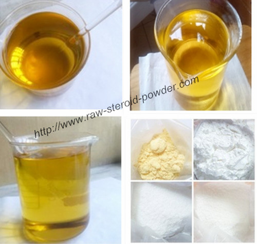 Testosterone Propionate 100mg/ml