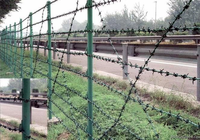 Barbed Wire