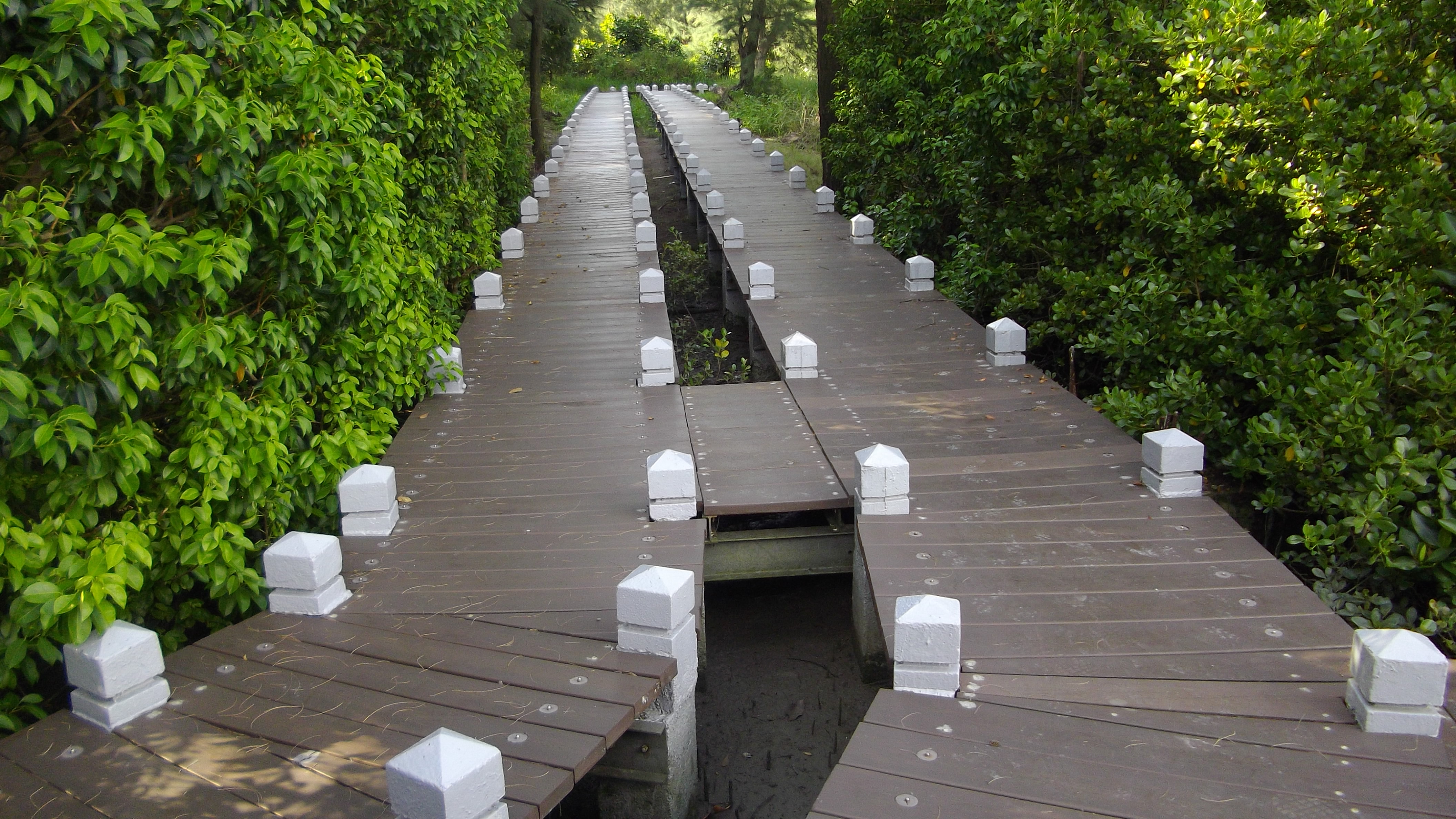 outdoor landscape series -- PS flooring