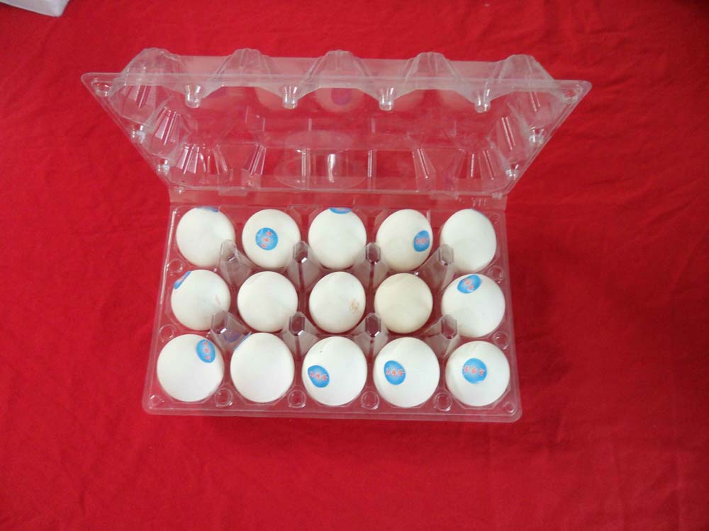 plastic egg tray